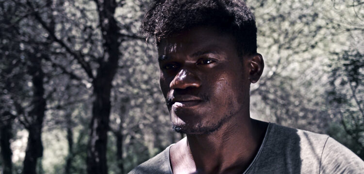 The Birds of The-South