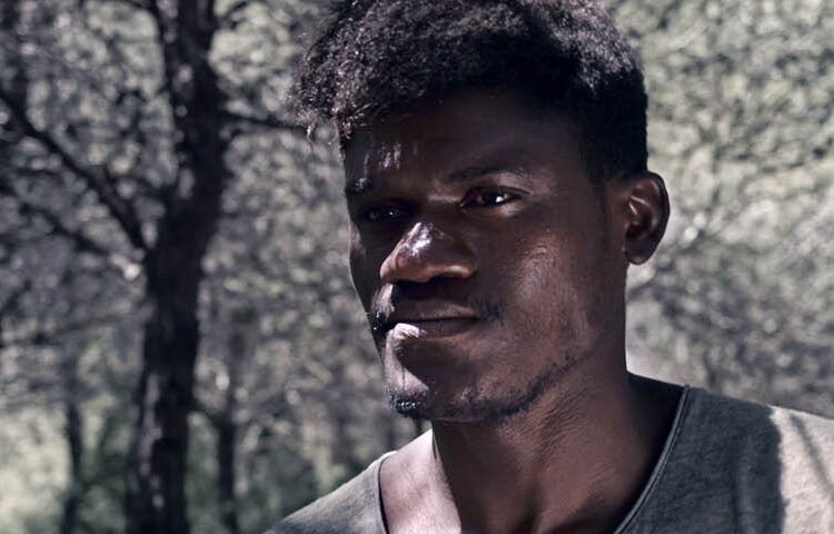 The birds of the south2