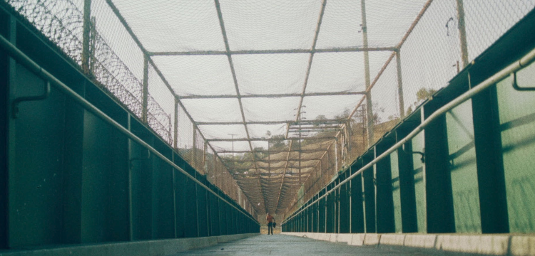 Sheeps Clothing-Still 780×360