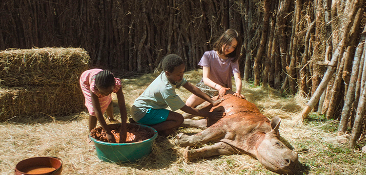Thabo and the Rhino Case Still 780×360